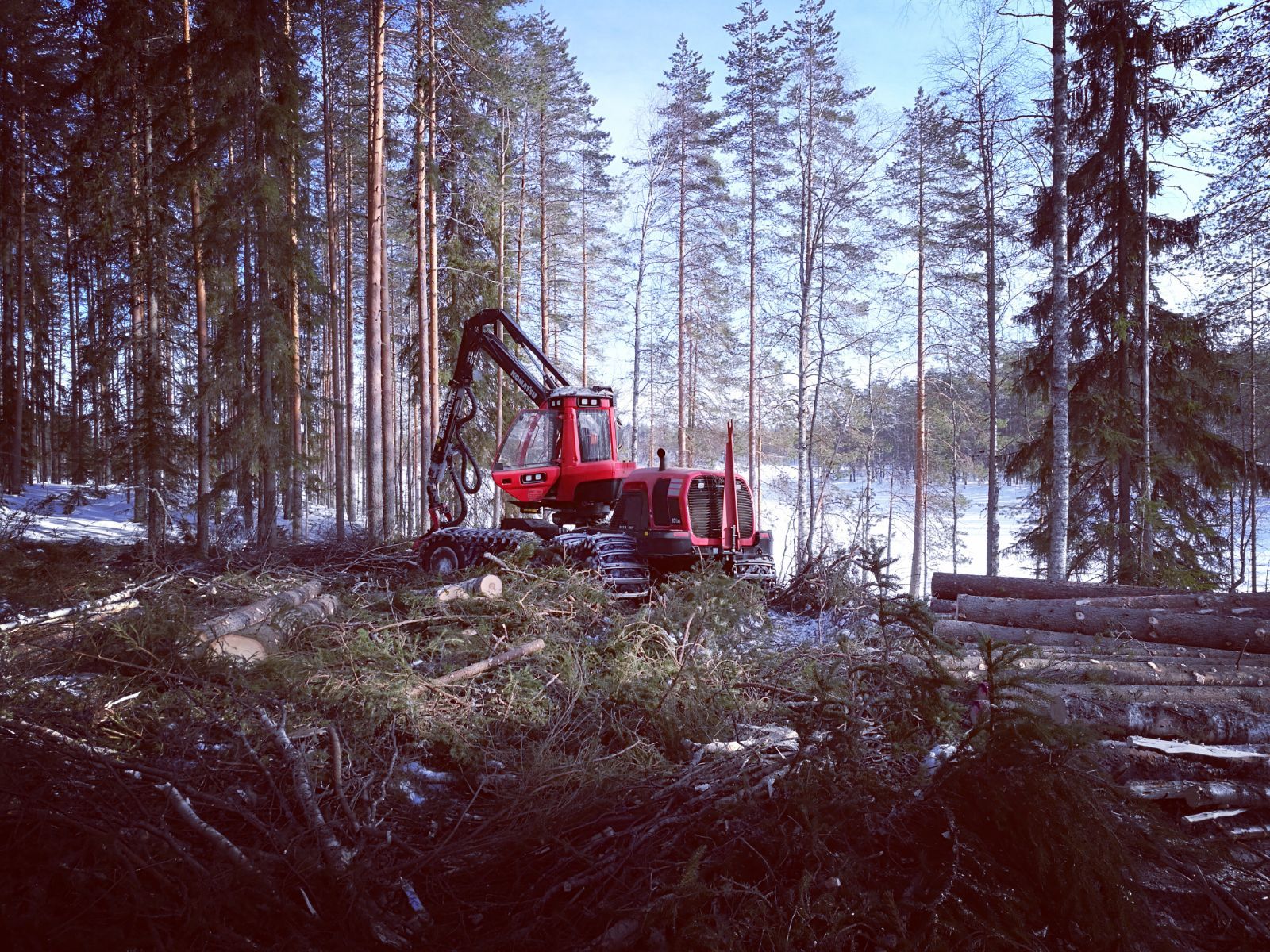 Savottaa saaressa • Enon Metsäpalvelu Oy